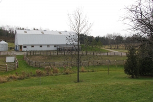 farm_0000_Small West Paddock.jpg