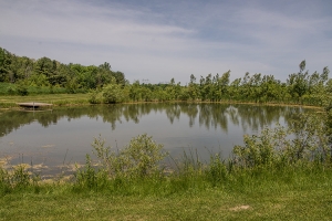 raven_0001s_0001_Jecara Farms-02810 Raven Cabin (6).jpg